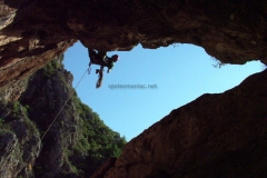 DSCF0729
