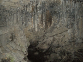 DSCN2307