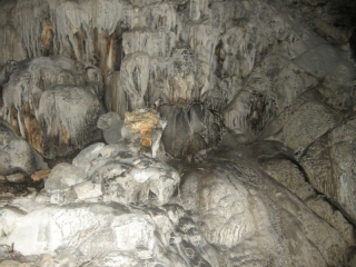 DSCN2314
