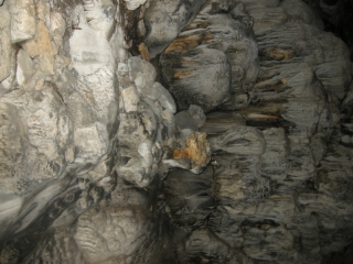 DSCN2315