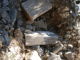 DSCN2368
