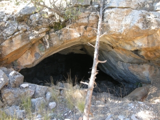 DSCN2375