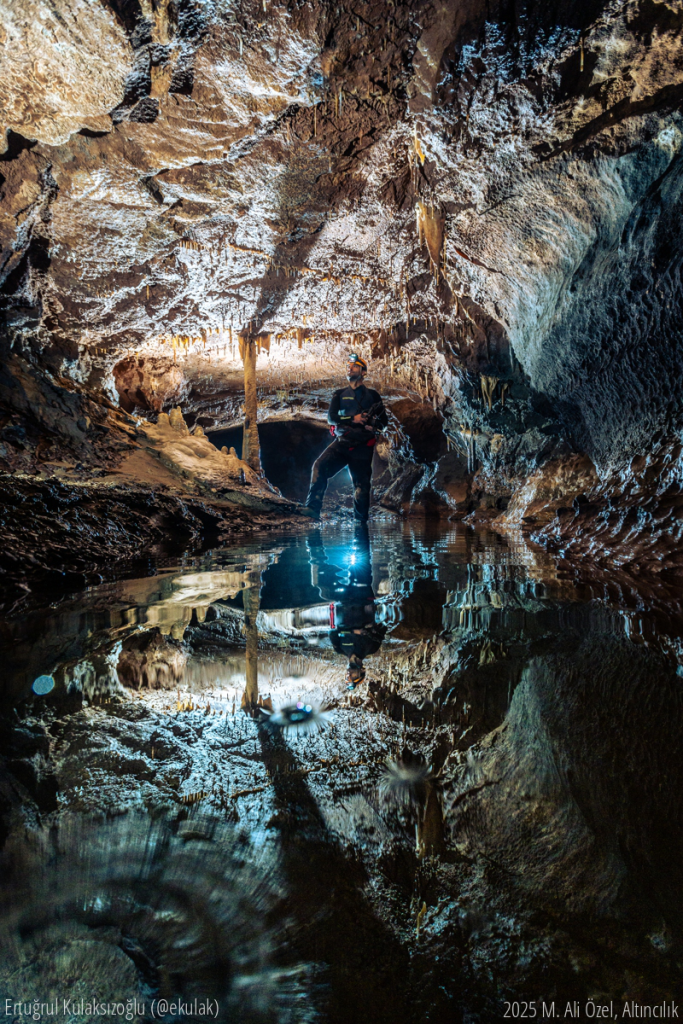 Mert yine mağaranın dört bir yanında omurgasız arıyordu. Öyle bir yerde durdu ki doğru aydınlatma ile iyi bir kare çıkacağı kesindi. Aydınlatma için biraz beklettim ama sanıyorum buna değdi.