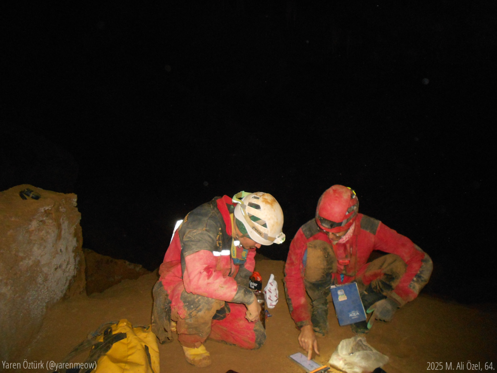 Kristal kolda ölçüm şifti.